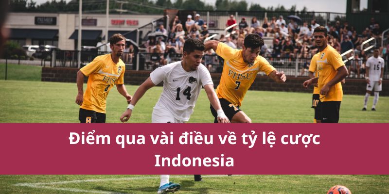 Điểm qua vài điều về tỷ lệ cược Indonesia